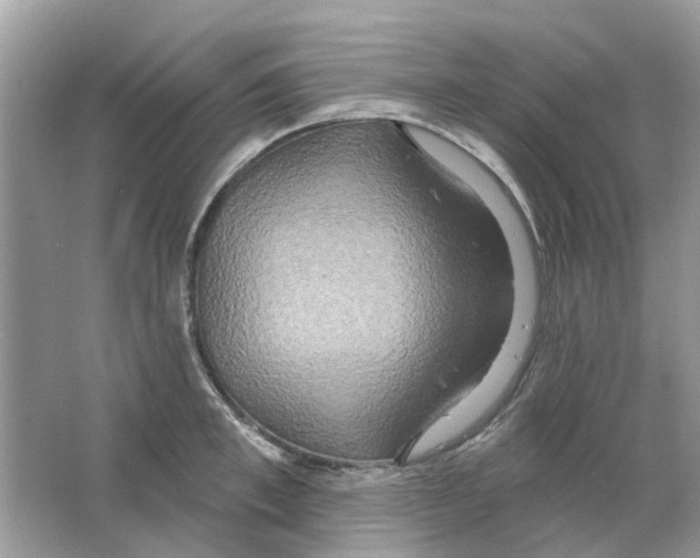 X0000063510997200602172141