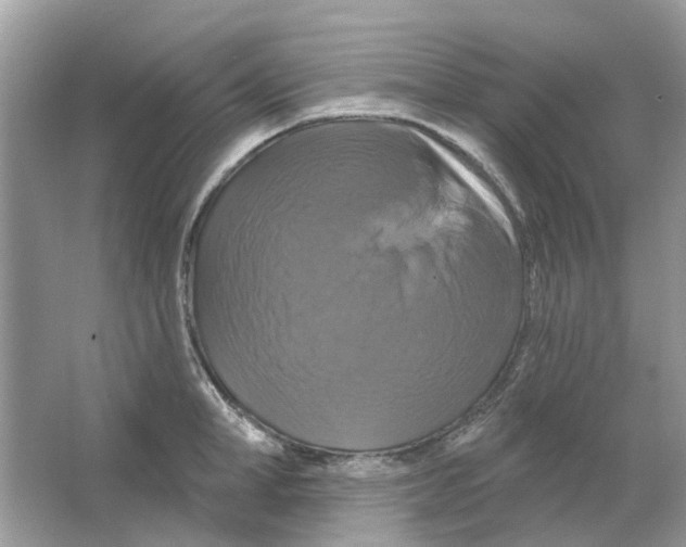 X0000063510998200602172141