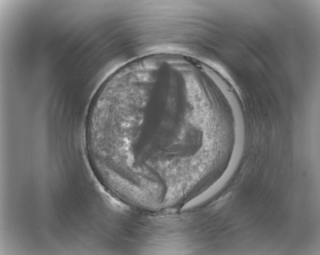 X0000063510999200602172141