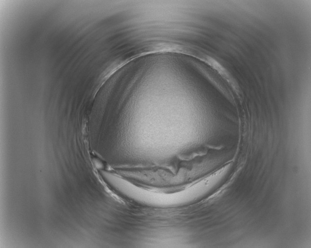 X0000063511001200602172141