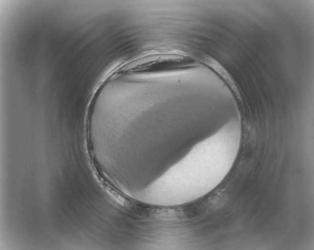 X0000063511002200602172141