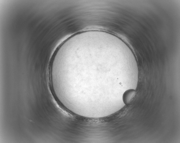 X0000063511003200602172141