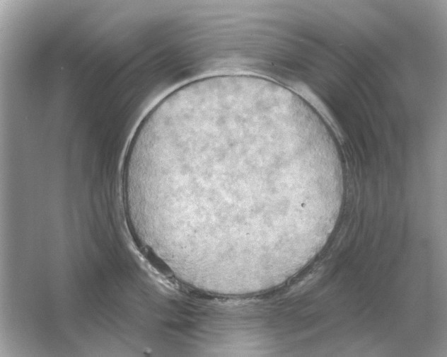 X0000063511004200602172141