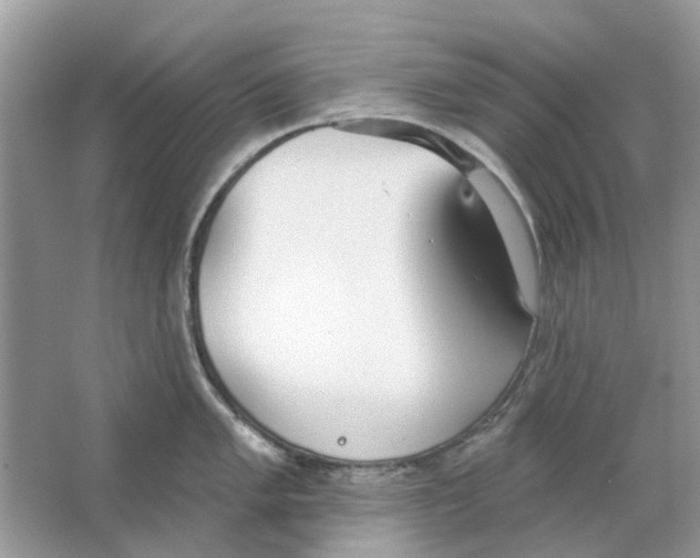 X0000063511005200602172141