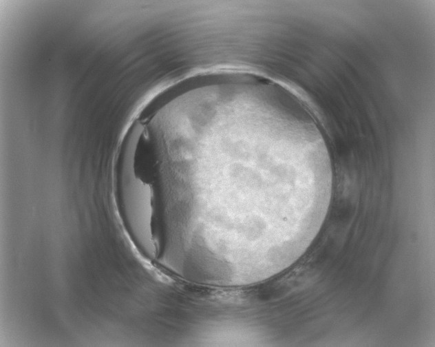 X0000063511006200602172141