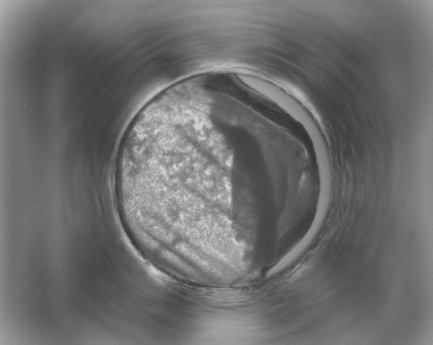 X0000063511007200602172141