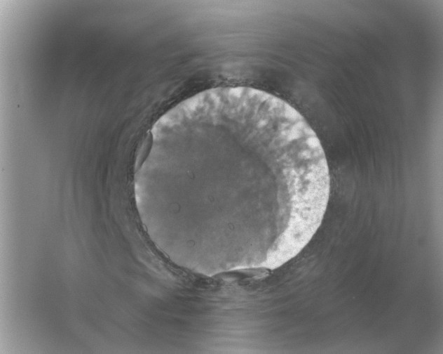 X0000063511009200602172140