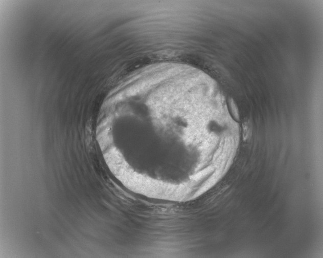 X0000063511011200602172140