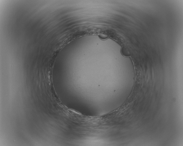 X0000063511013200602172140