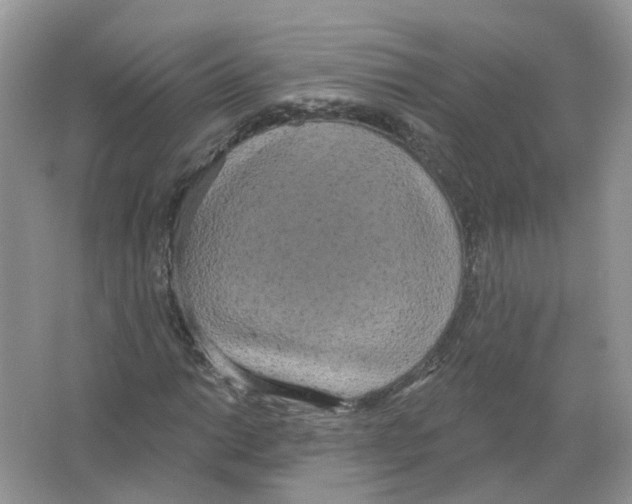 X0000063511014200602172140