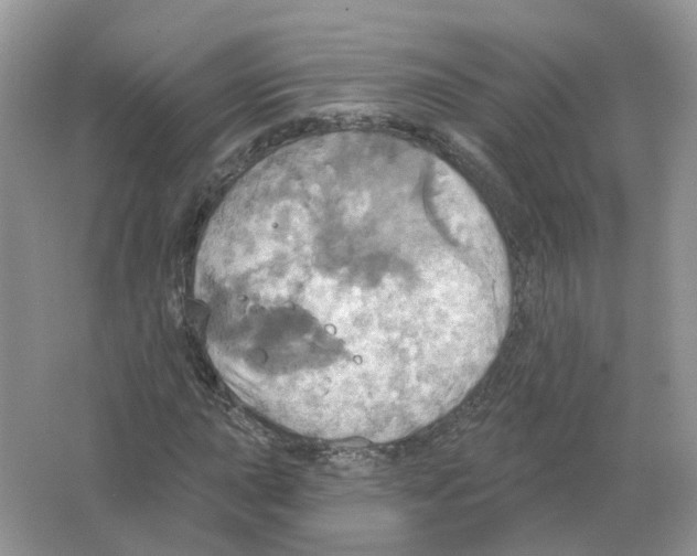 X0000063511015200602172140