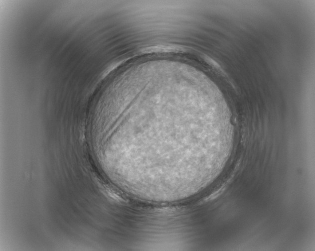 X0000063511017200602172140