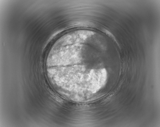 X0000063511019200602172140