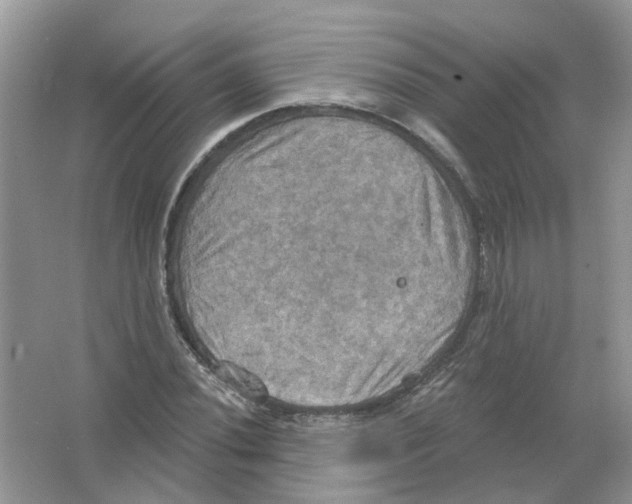 X0000063511020200602172140