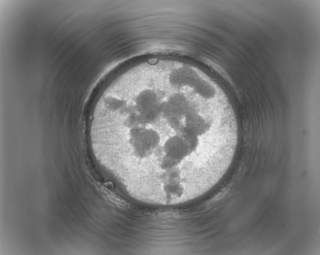 X0000063511021200602172140