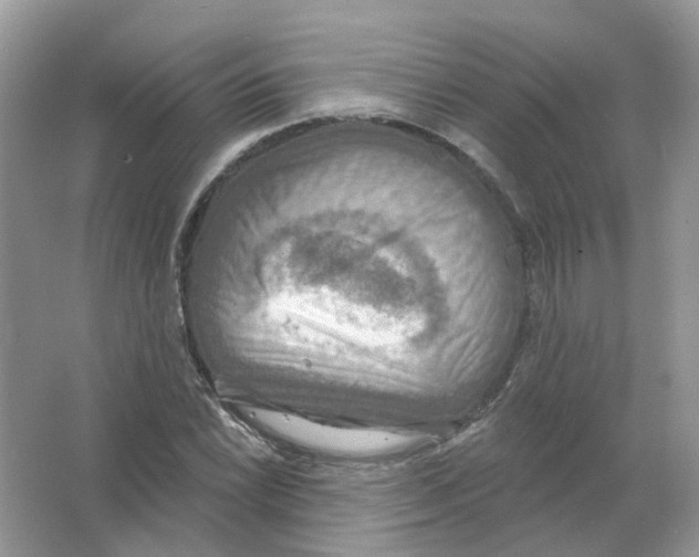 X0000063511022200602172140