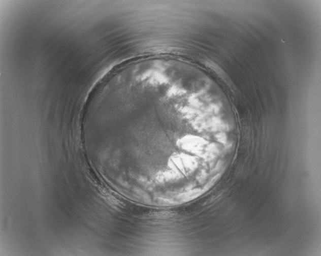 X0000063511023200602172140