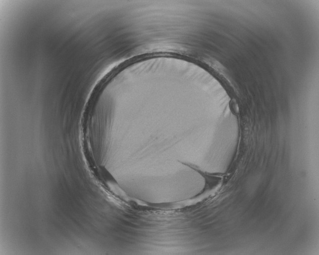 X0000063511024200602172140