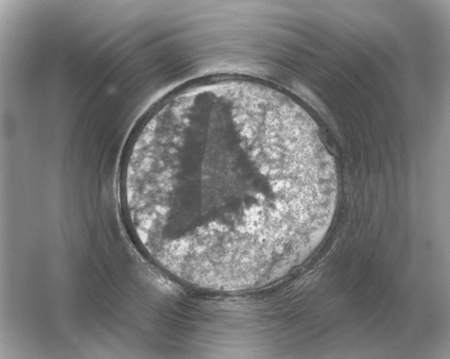 X0000063511028200602172140