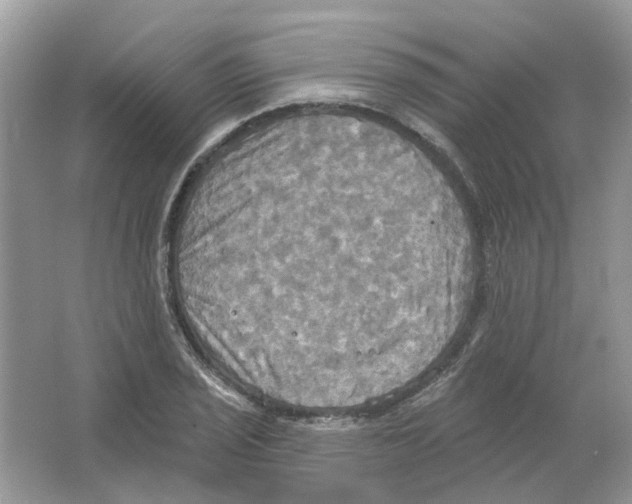 X0000063511029200602172140