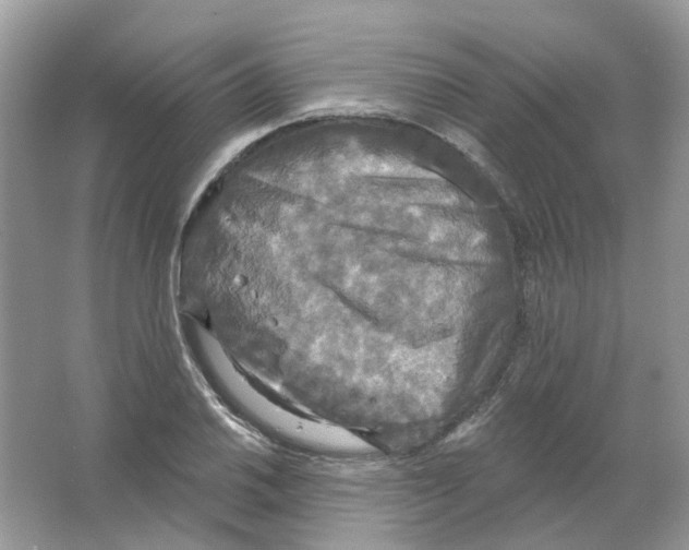 X0000063511030200602172140