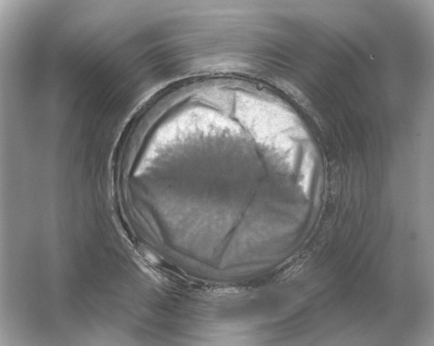 X0000063511031200602172140