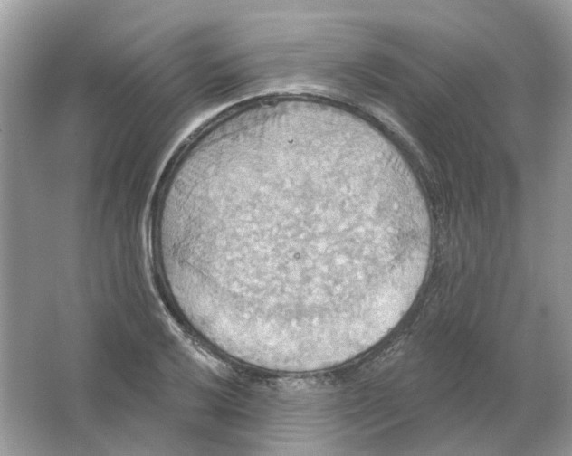 X0000063511032200602172140