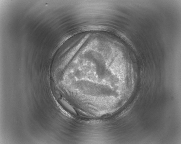 X0000063511033200602172140