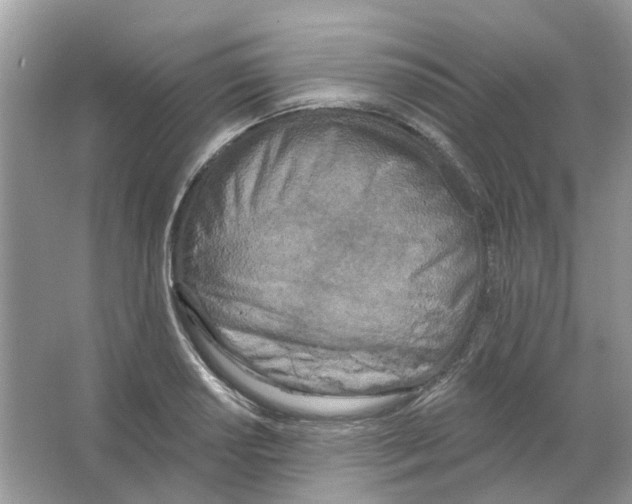 X0000063511034200602172140