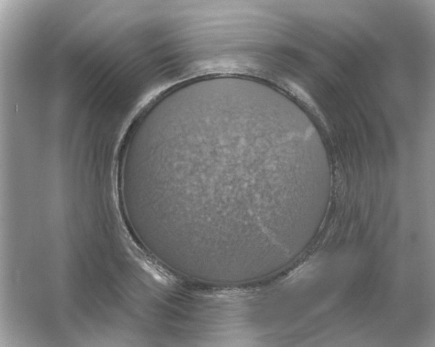 X0000063511035200602172140