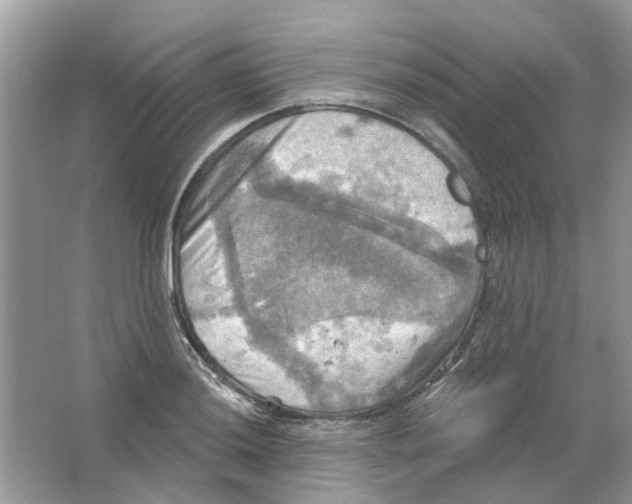 X0000063511036200602172140