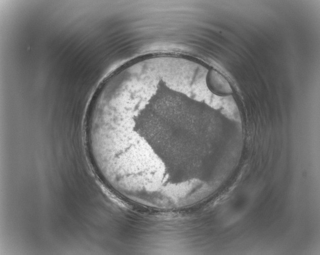 X0000063511037200602172140