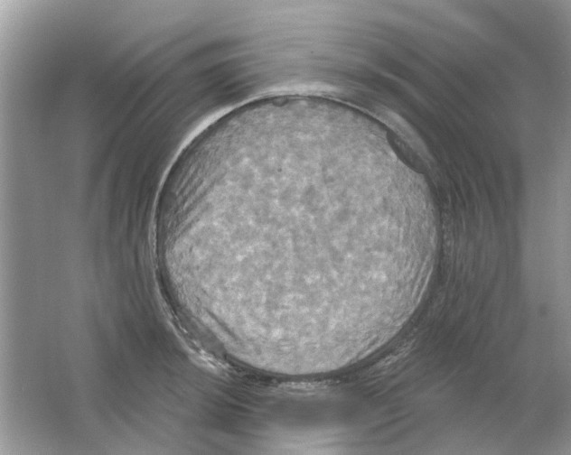 X0000063511044200602172141