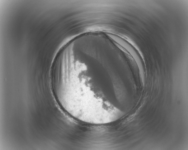 X0000063511045200602172141