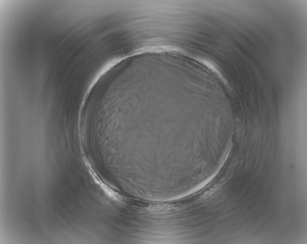 X0000063511046200602172141