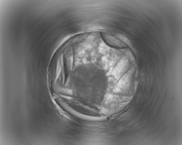 X0000063511047200602172141