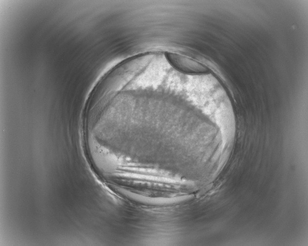 X0000063511048200602172141