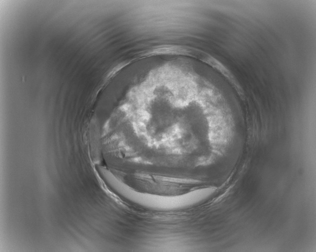 X0000063511049200602172141