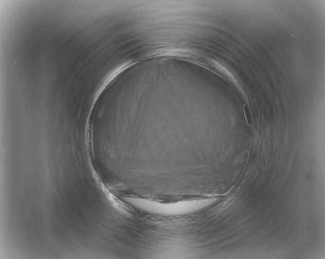 X0000063511050200602172141