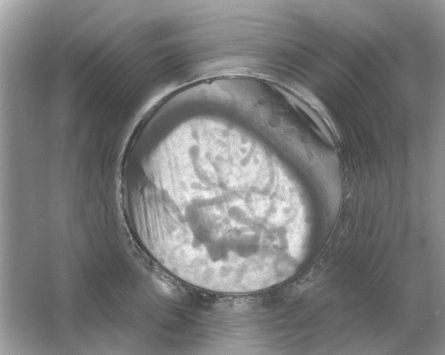 X0000063511051200602172141