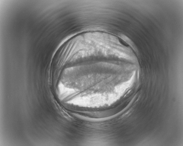 X0000063511052200602172141