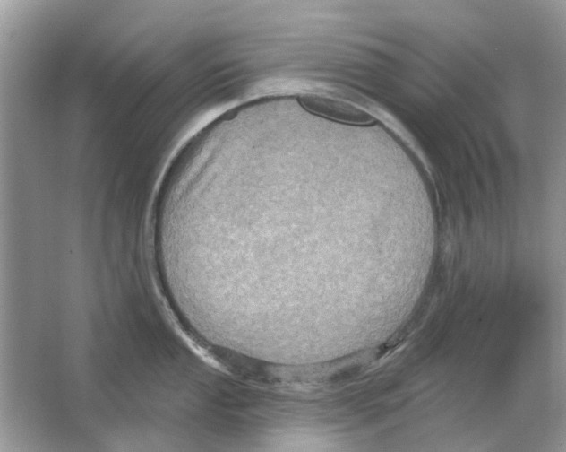 X0000063511053200602172141