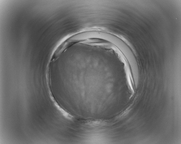 X0000063511054200602172141