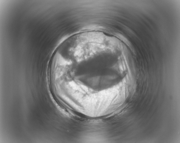 X0000063511055200602172141