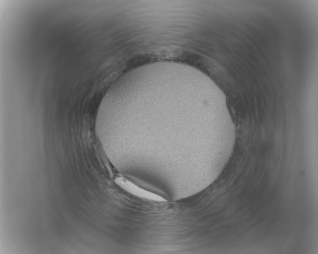 X0000063511058200602172140