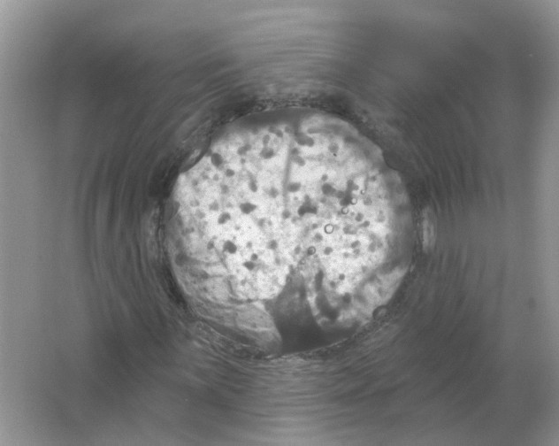 X0000063511059200602172140