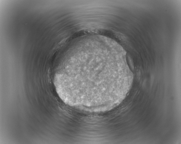 X0000063511060200602172140