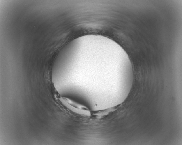 X0000063511061200602172140