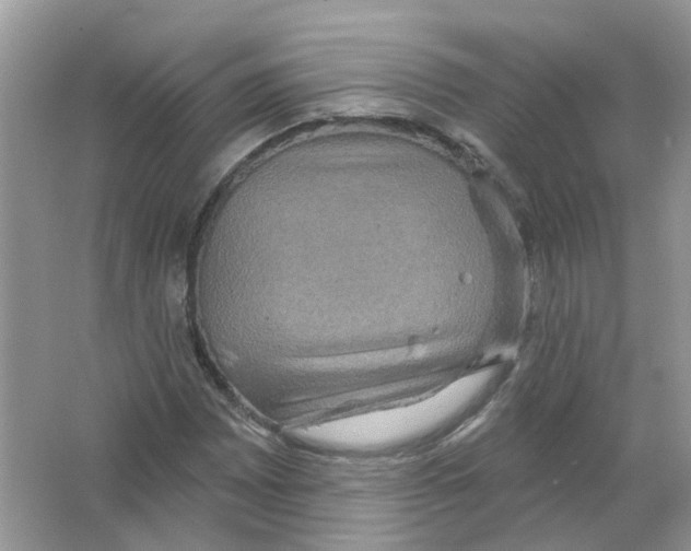 X0000063511065200602172140