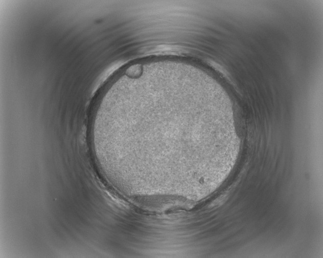 X0000063511066200602172140